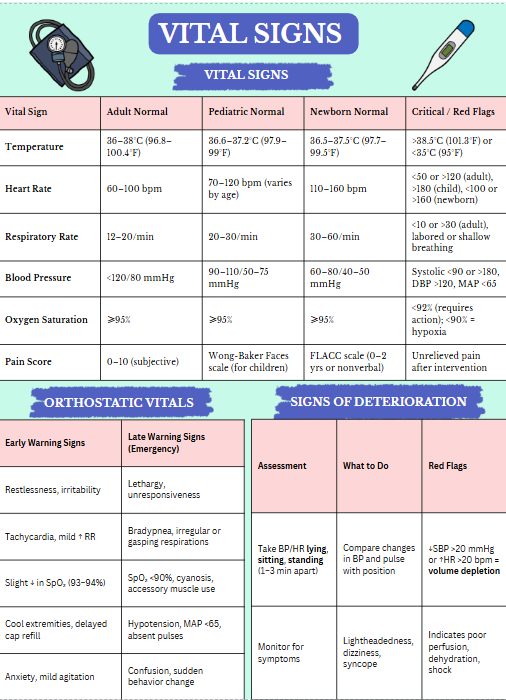 Nursing School and NCLEX Guide 2.0 (Digital Download)