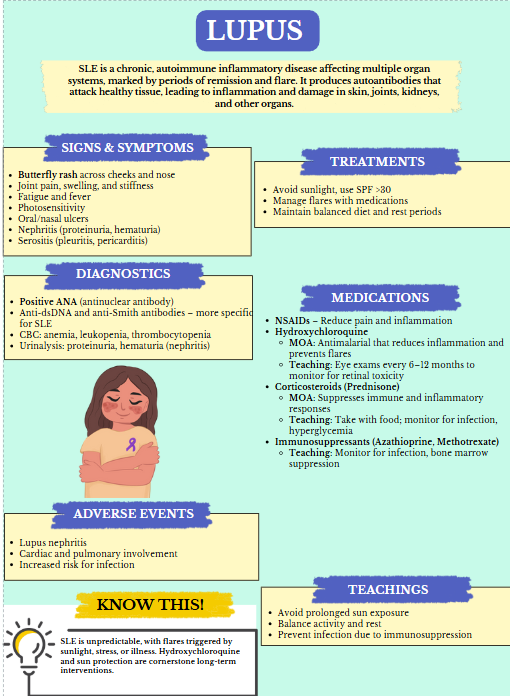Nursing School and NCLEX Guide 2.0 (Digital Download)