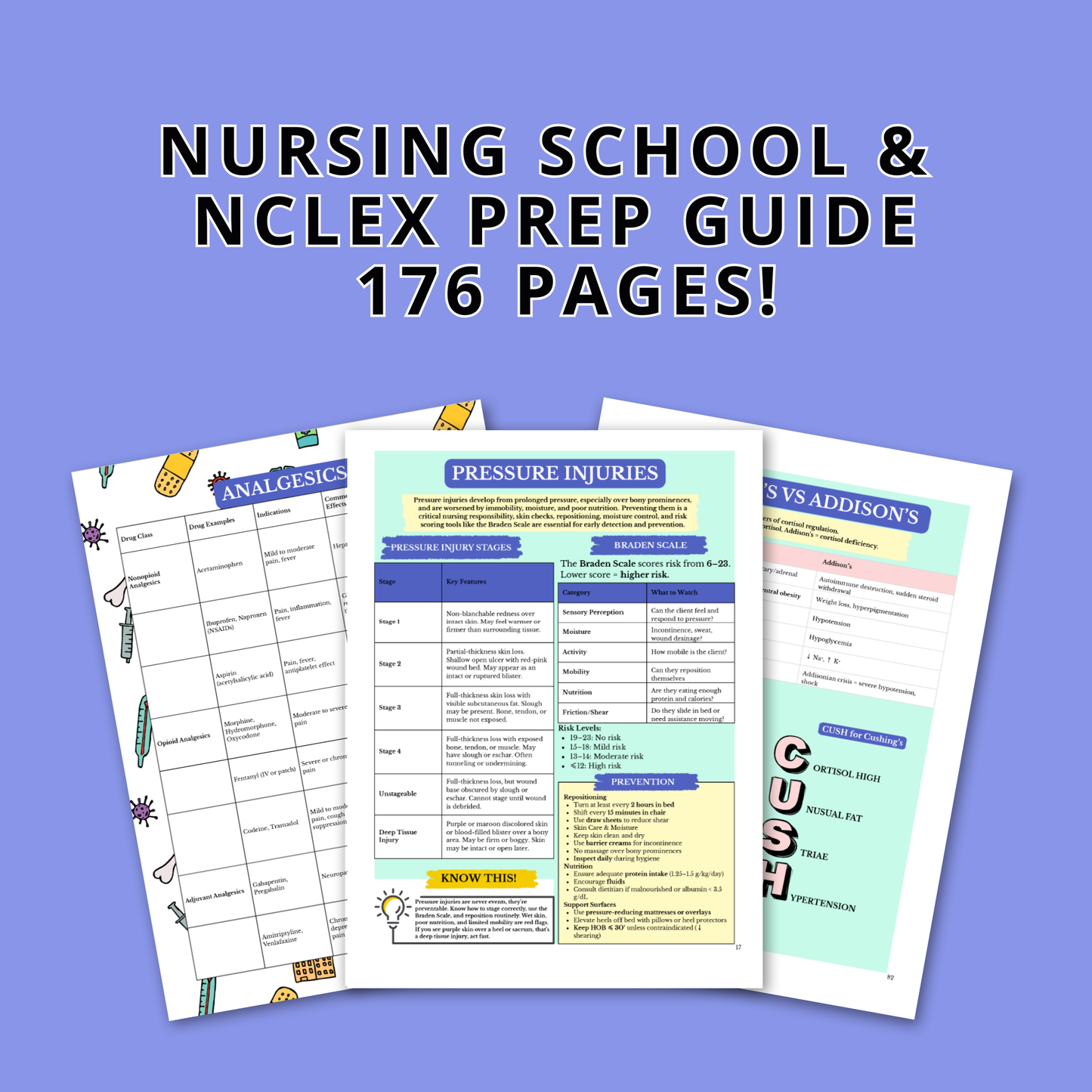 Nursing School and NCLEX Guide 2.0 (Digital Download)